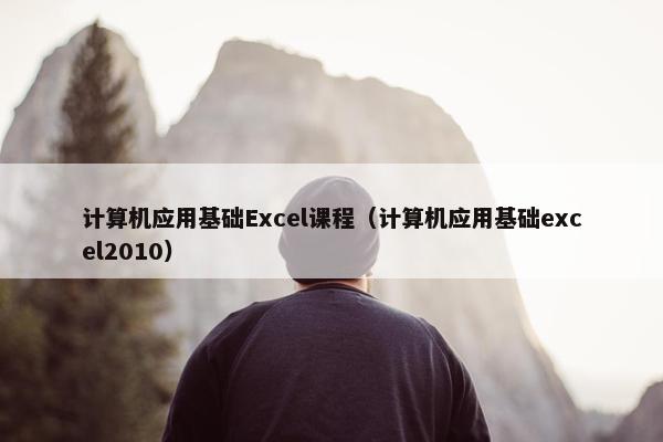 计算机应用基础Excel课程（计算机应用基础excel2010）