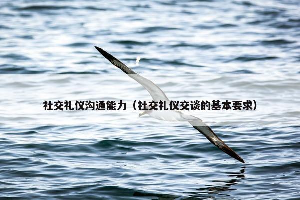 社交礼仪沟通能力（社交礼仪交谈的基本要求）