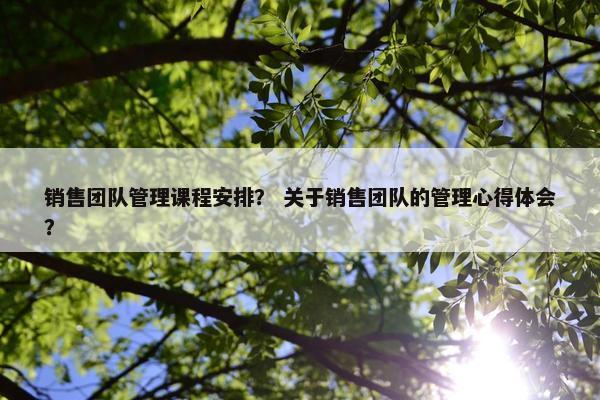 销售团队管理课程安排？ 关于销售团队的管理心得体会？