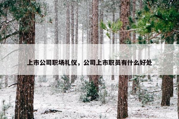 上市公司职场礼仪，公司上市职员有什么好处