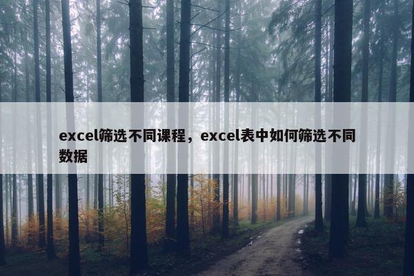 excel筛选不同课程，excel表中如何筛选不同数据