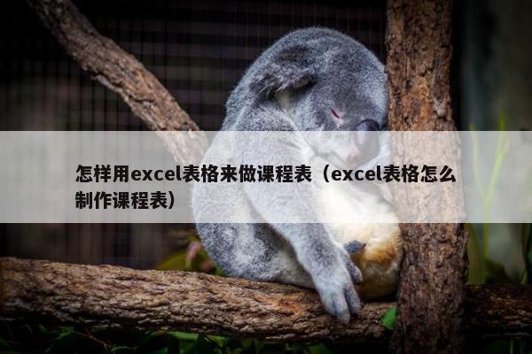 怎样用excel表格来做课程表（excel表格怎么制作课程表）