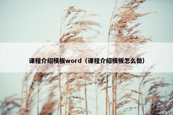 课程介绍模板word（课程介绍模板怎么做）