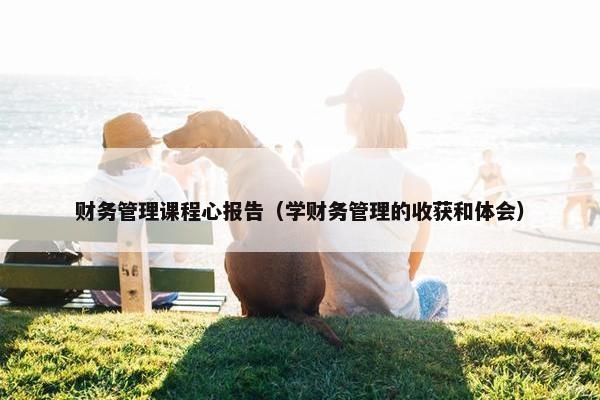 财务管理课程心报告（学财务管理的收获和体会）