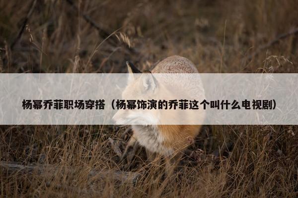 杨幂乔菲职场穿搭（杨幂饰演的乔菲这个叫什么电视剧）