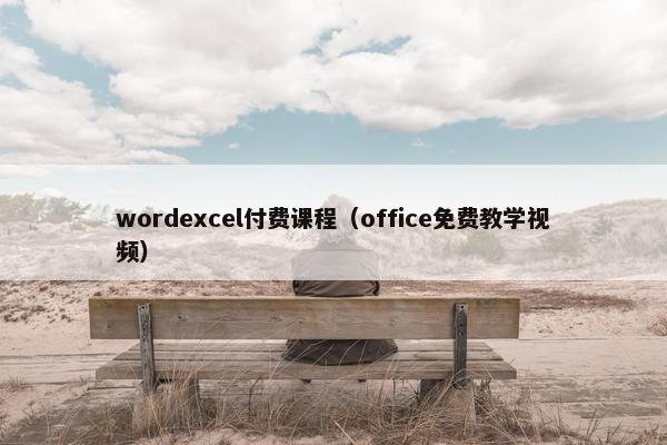 wordexcel付费课程（office免费教学视频）