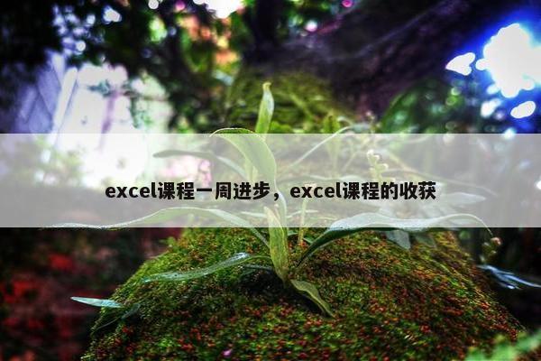 excel课程一周进步，excel课程的收获