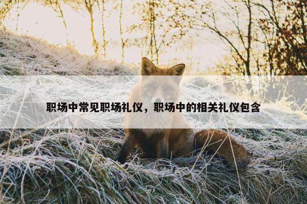 职场中常见职场礼仪，职场中的相关礼仪包含