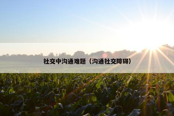 社交中沟通难题（沟通社交障碍）
