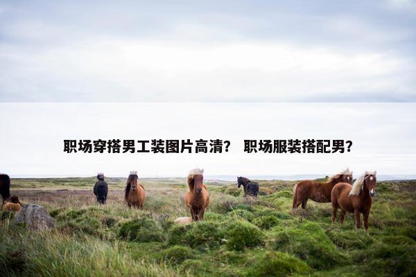职场穿搭男工装图片高清？ 职场服装搭配男？