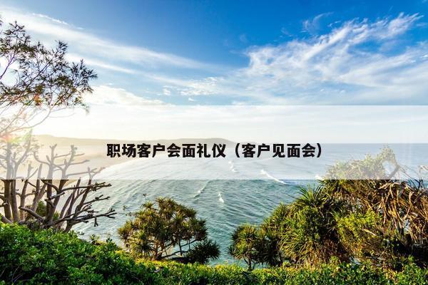职场客户会面礼仪（客户见面会）