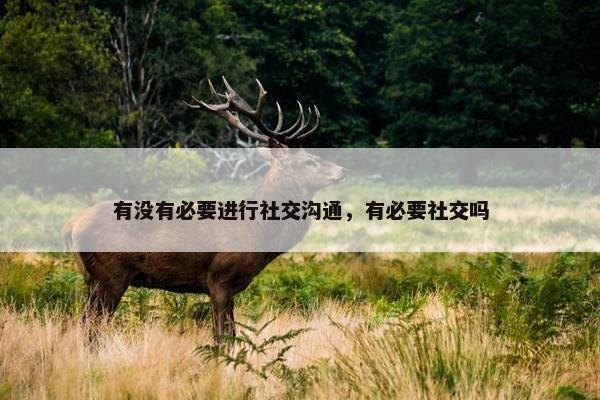 有没有必要进行社交沟通，有必要社交吗