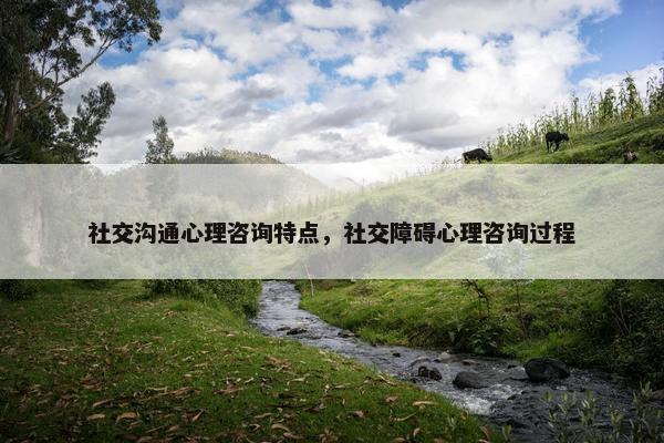 社交沟通心理咨询特点，社交障碍心理咨询过程