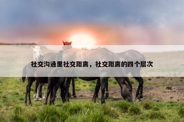 社交沟通里社交距离，社交距离的四个层次