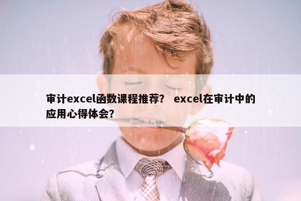 审计excel函数课程推荐？ excel在审计中的应用心得体会？
