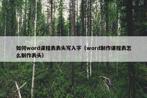 如何word课程表表头写入字（word制作课程表怎么制作表头）