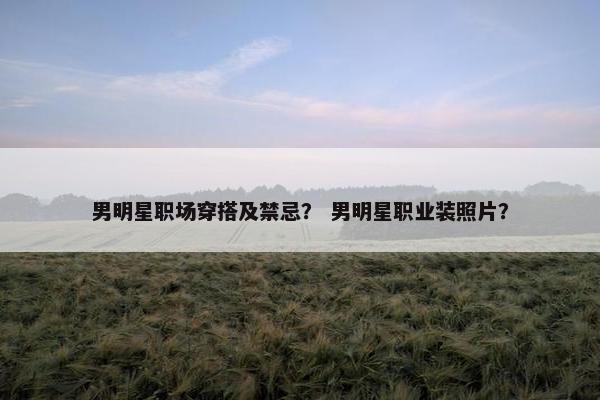 男明星职场穿搭及禁忌？ 男明星职业装照片？
