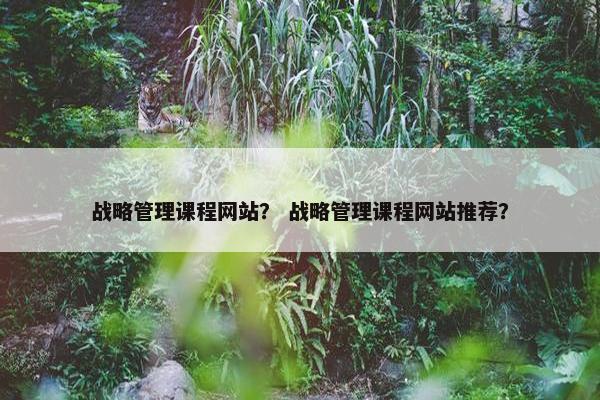 战略管理课程网站？ 战略管理课程网站推荐？