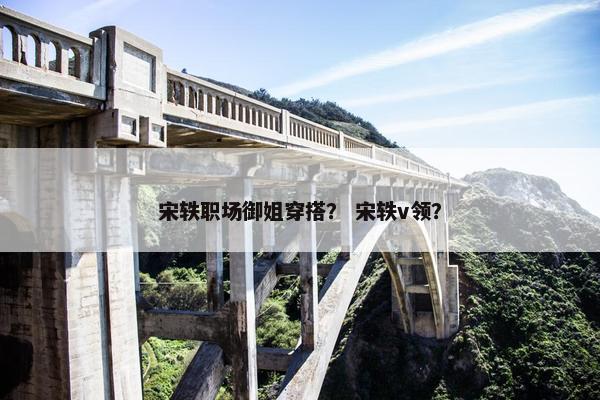 宋轶职场御姐穿搭？ 宋轶v领？