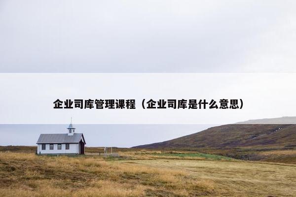 企业司库管理课程（企业司库是什么意思）
