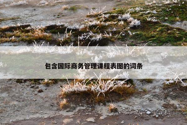 包含国际商务管理课程表图的词条