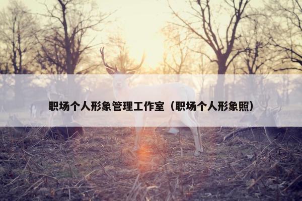 职场个人形象管理工作室（职场个人形象照）