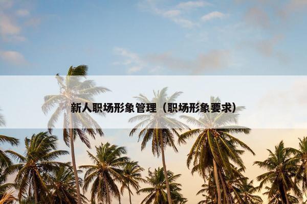 新人职场形象管理（职场形象要求）