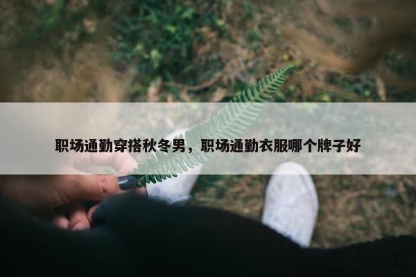 职场通勤穿搭秋冬男，职场通勤衣服哪个牌子好