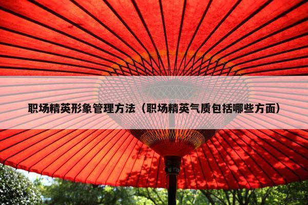职场精英形象管理方法（职场精英气质包括哪些方面）
