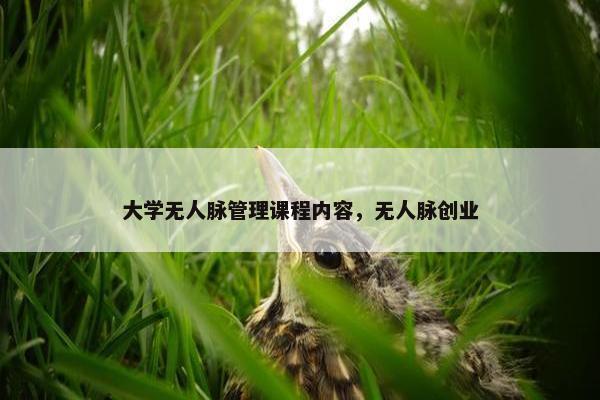大学无人脉管理课程内容，无人脉创业