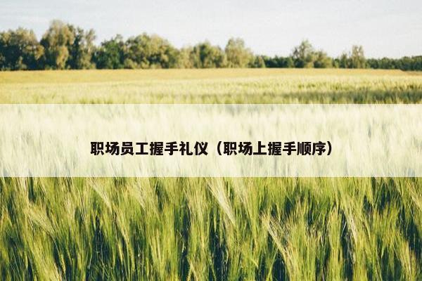 职场员工握手礼仪（职场上握手顺序）