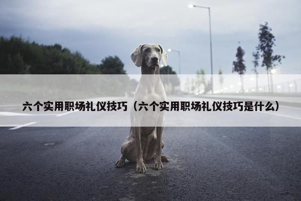 六个实用职场礼仪技巧（六个实用职场礼仪技巧是什么）