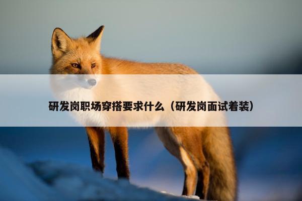 研发岗职场穿搭要求什么（研发岗面试着装）