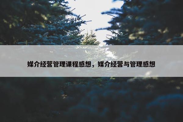 媒介经营管理课程感想，媒介经营与管理感想