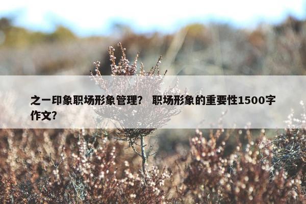 之一印象职场形象管理？ 职场形象的重要性1500字作文？