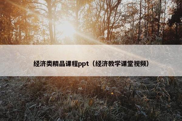 经济类精品课程ppt（经济教学课堂视频）