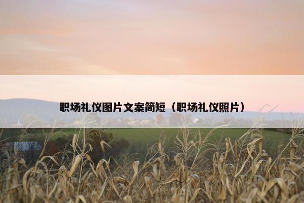 职场礼仪图片文案简短（职场礼仪照片）
