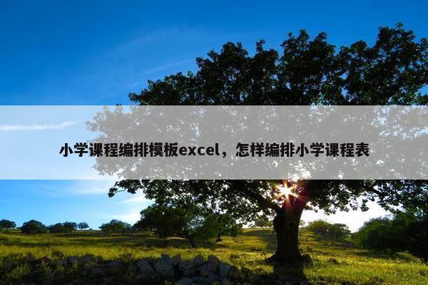 小学课程编排模板excel，怎样编排小学课程表