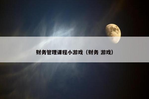 财务管理课程小游戏（财务 游戏）