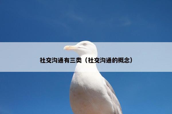社交沟通有三类（社交沟通的概念）