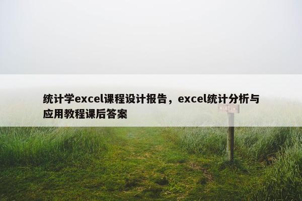 统计学excel课程设计报告，excel统计分析与应用教程课后答案