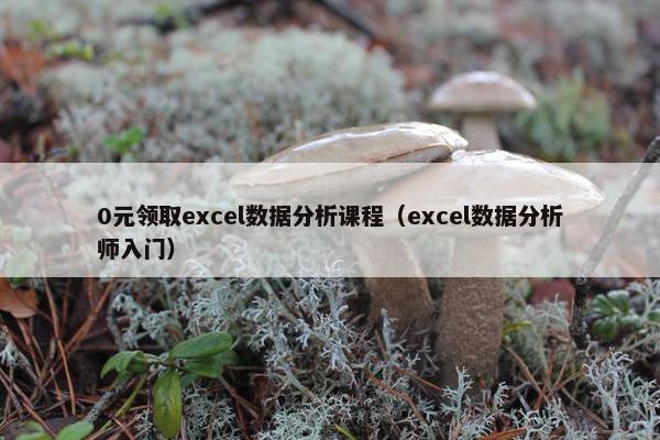 0元领取excel数据分析课程（excel数据分析师入门）