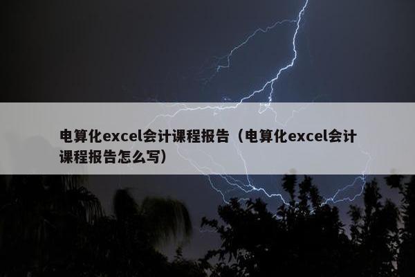 电算化excel会计课程报告（电算化excel会计课程报告怎么写）