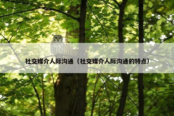 社交媒介人际沟通（社交媒介人际沟通的特点）