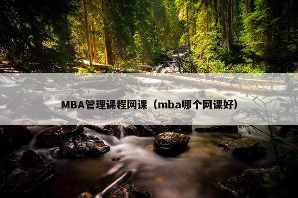 MBA管理课程网课（mba哪个网课好）