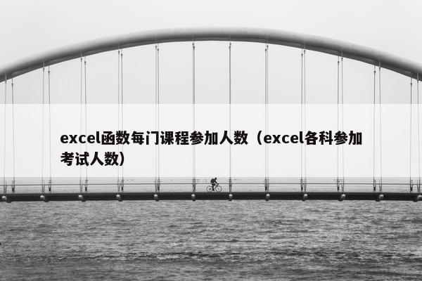 excel函数每门课程参加人数（excel各科参加考试人数）