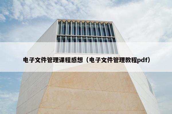 电子文件管理课程感想（电子文件管理教程pdf）