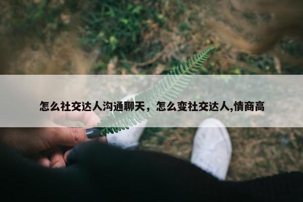 怎么社交达人沟通聊天，怎么变社交达人,情商高