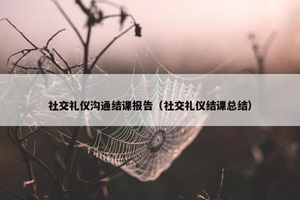 社交礼仪沟通结课报告（社交礼仪结课总结）