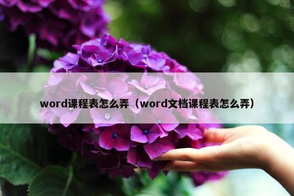 word课程表怎么弄（word文档课程表怎么弄）